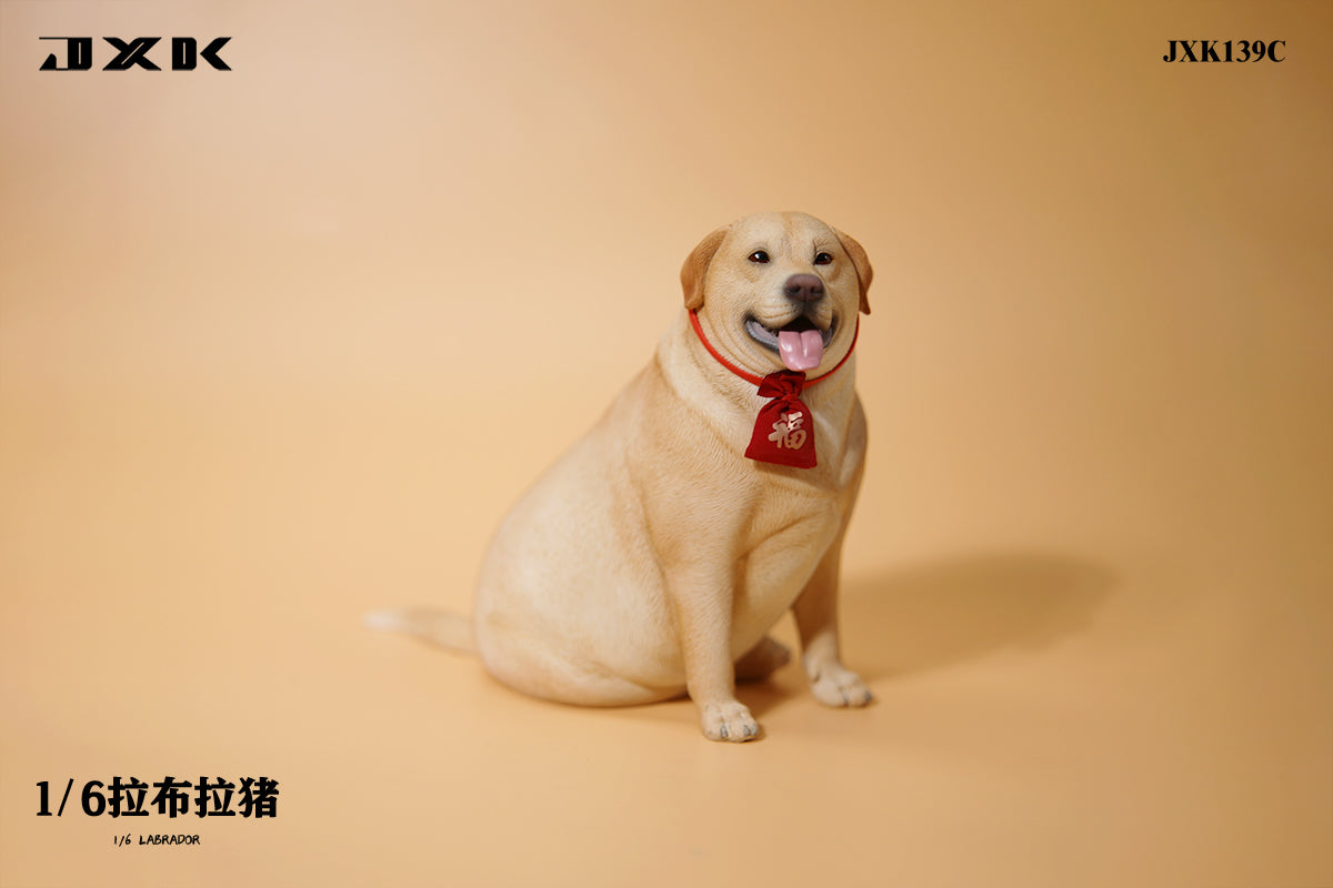 JXK 1/6 Labrador Model