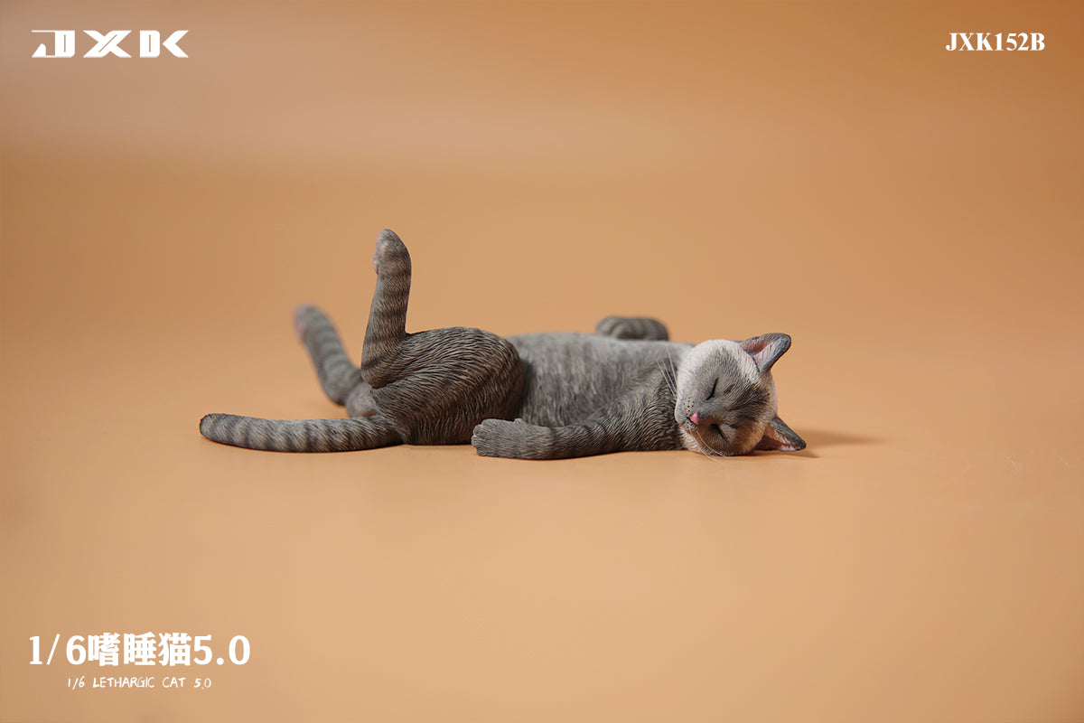 JXK 1/6 Lethargic Cat 5.0 Model