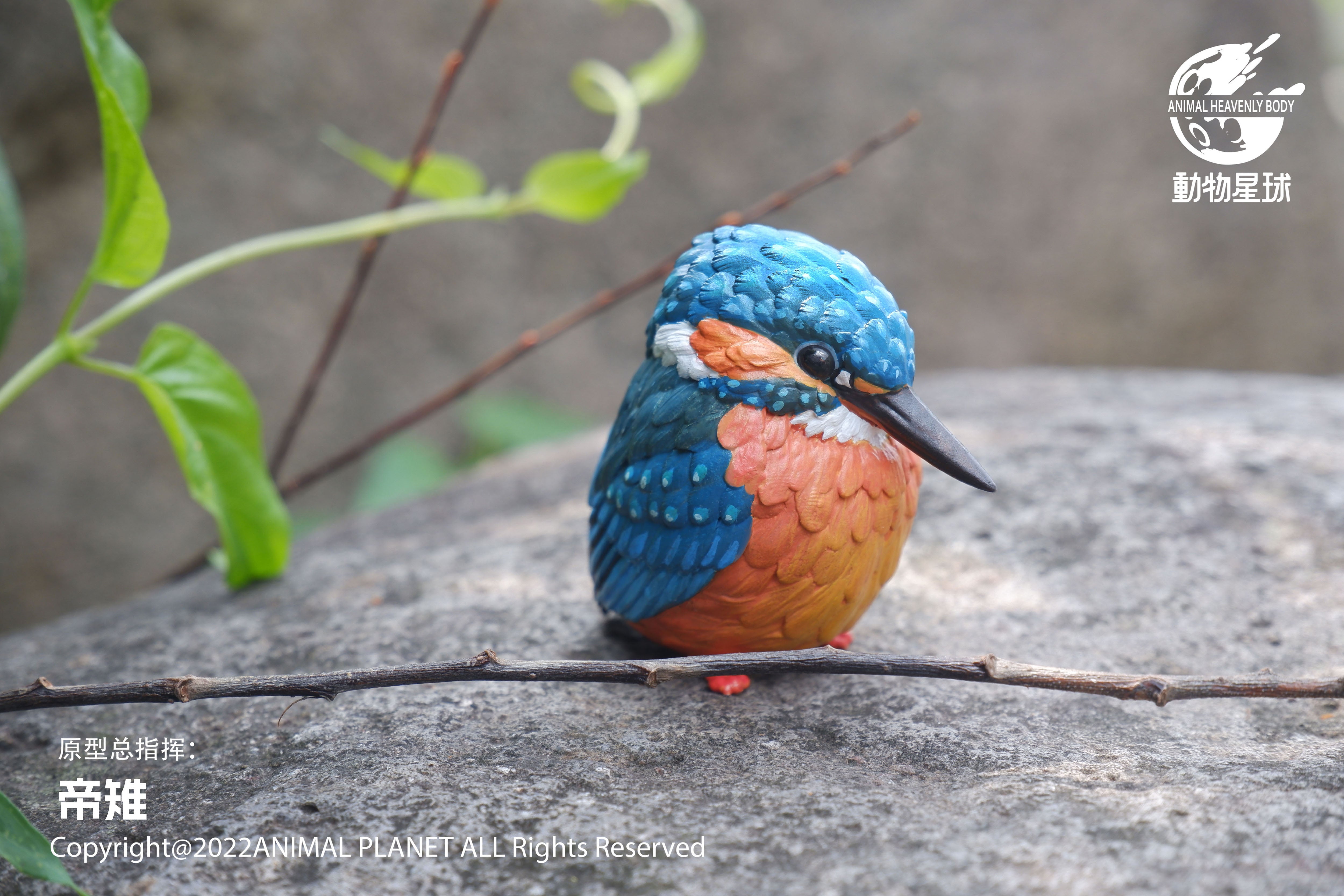 Animal Planet 10 Birds Blind Box Model