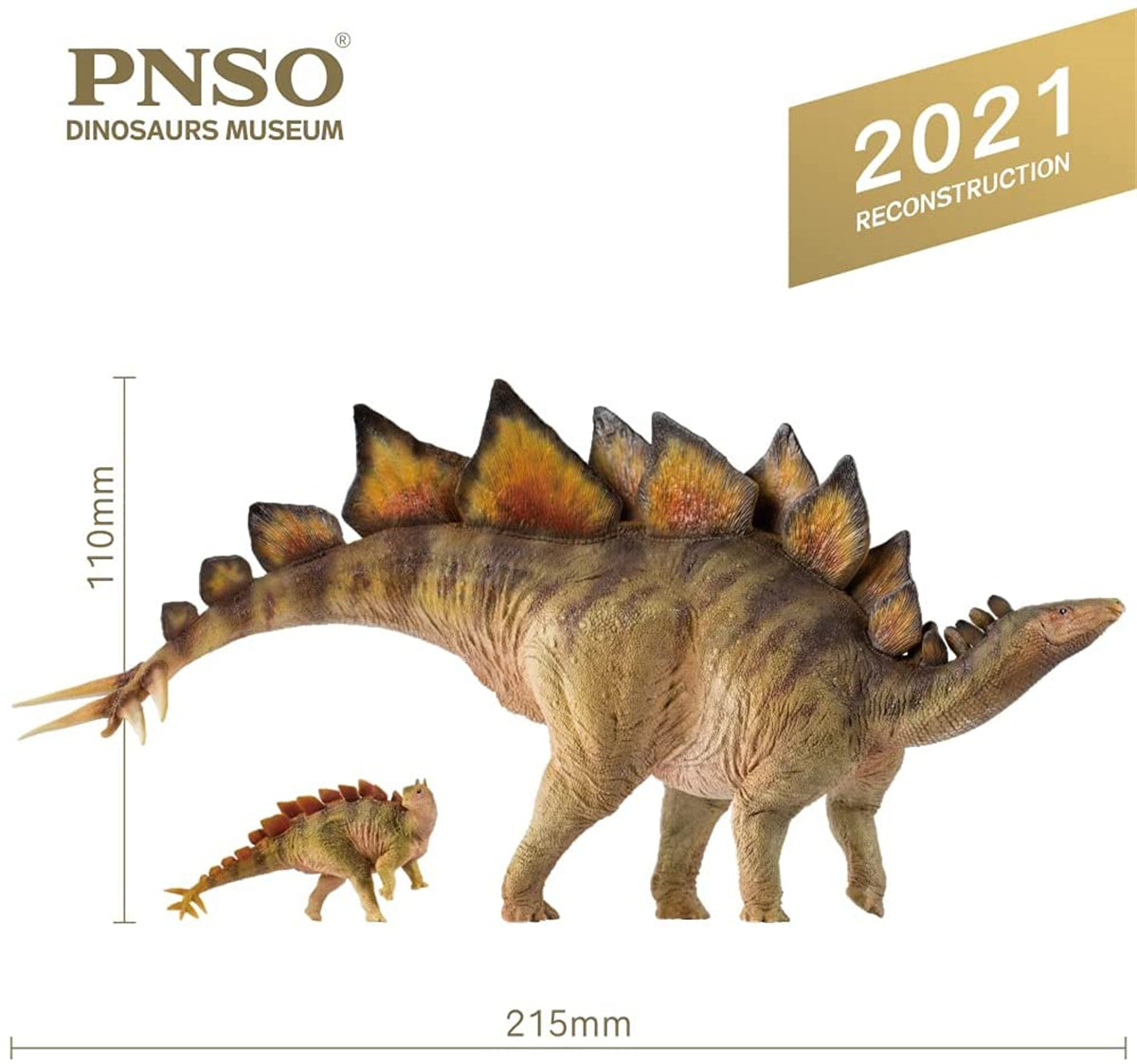 PNSO 1/35 Stegosaurus Biber & Rook Model