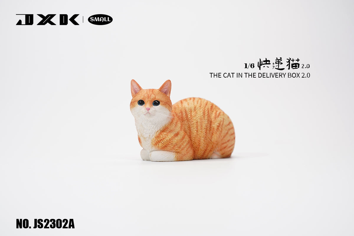JXK Small The Cat In The Delivery Box 2.0 Model