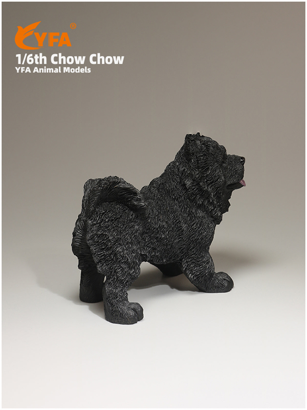 JJM 1/6 Chow Chow Dog Model