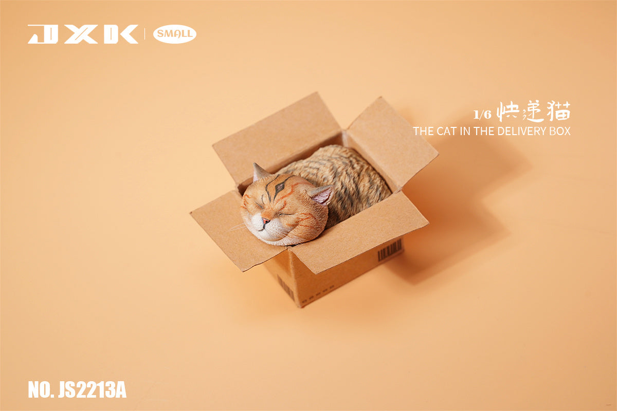 JXK The Cat In The Delivery Box Model