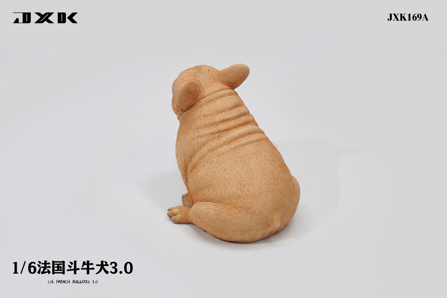 JXK 1/6 French Bulldog 3.0 Model