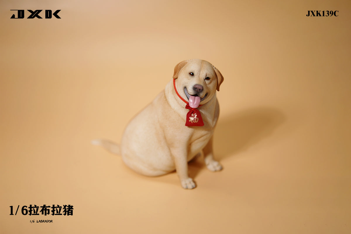 JXK 1/6 Labrador Model