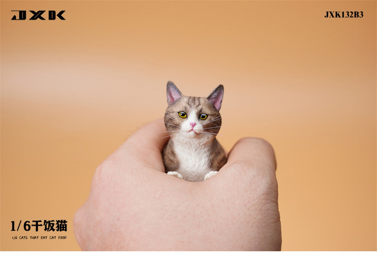 JXK 1/6 Cats That Eat Cat Food Model