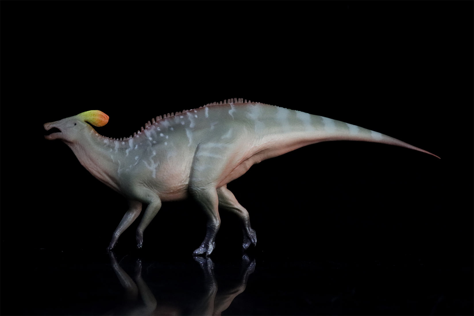 HAOLONGGOOD 1:35 Scale Tlatolophus galorum Model