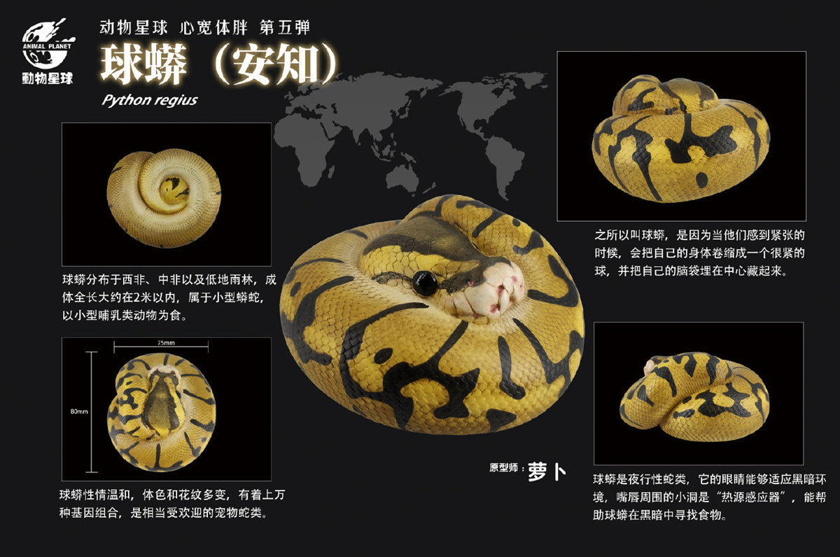 Animal Planet A Series of Laugh and Grow Fat 05 Snake