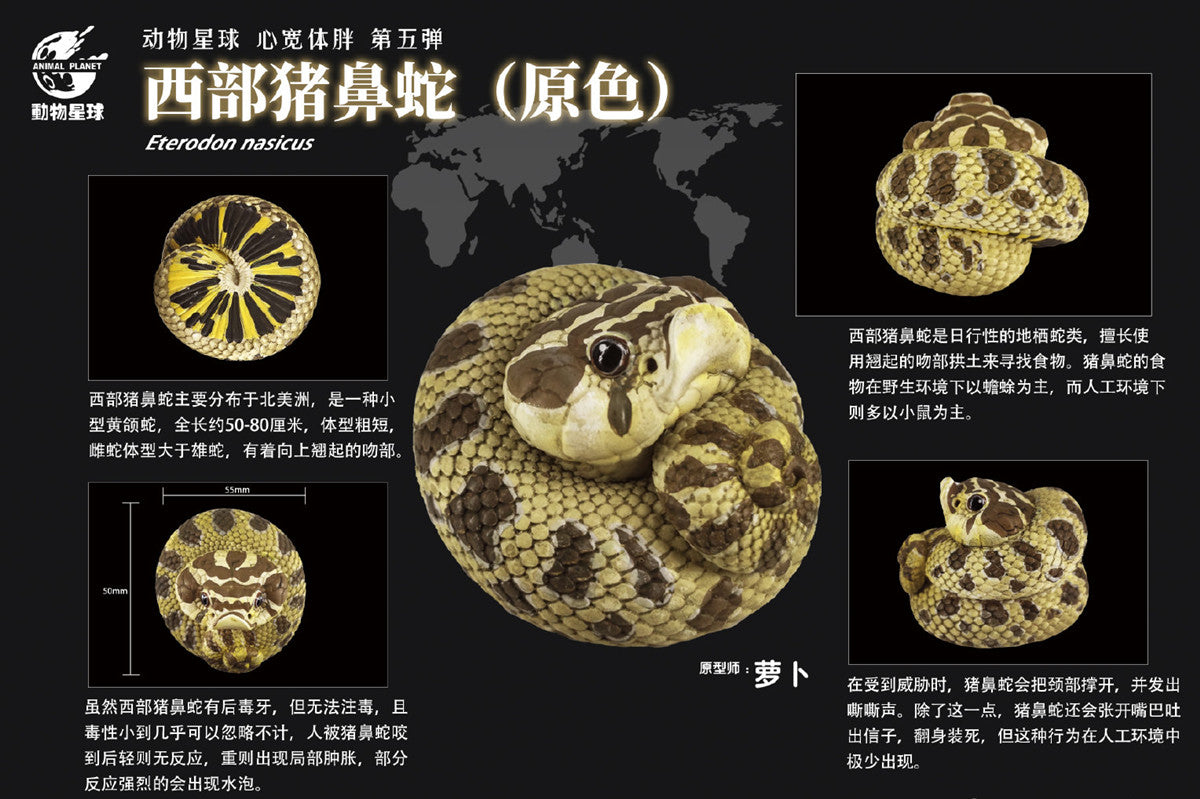 Animal Planet A Series of Laugh and Grow Fat 05 Snake