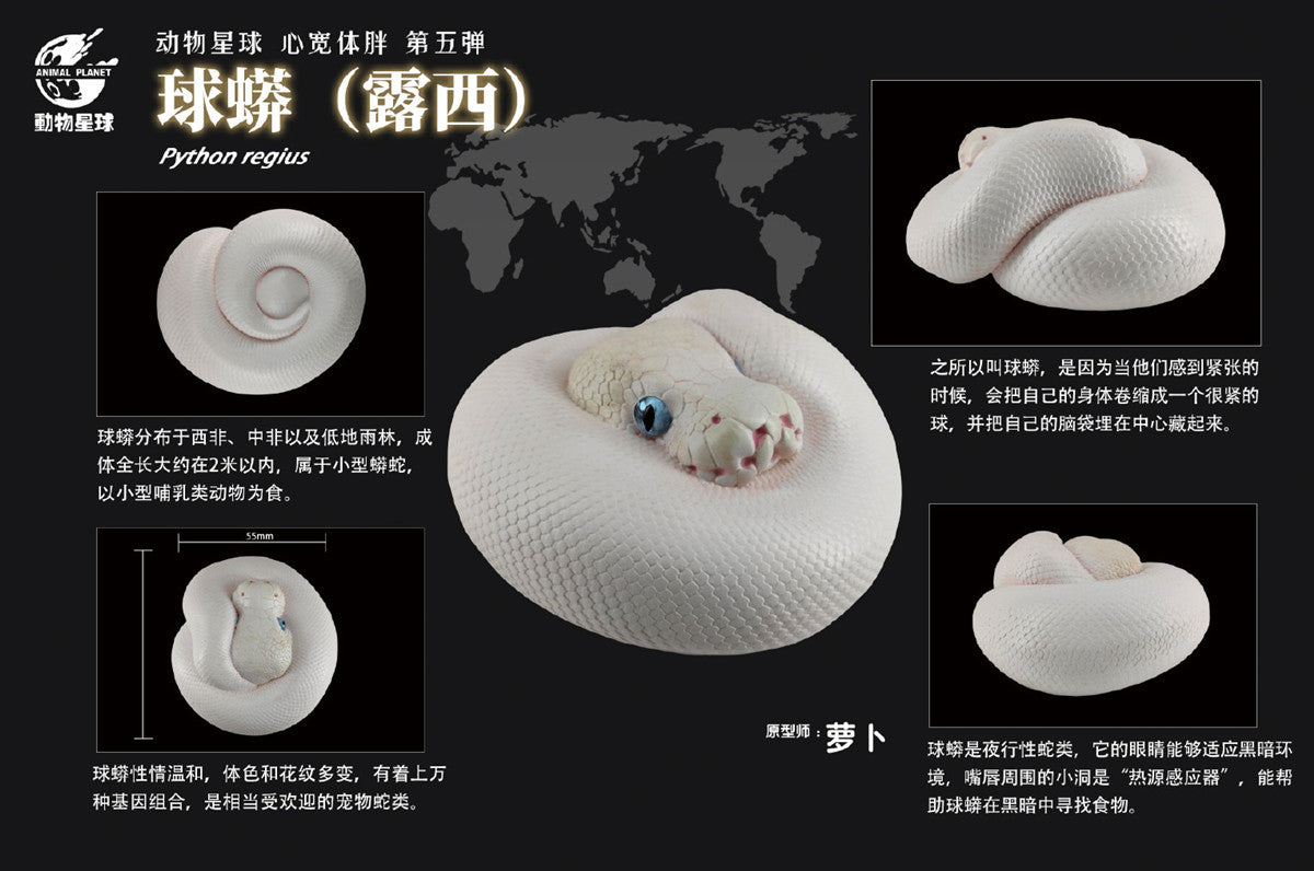 Animal Planet A Series of Laugh and Grow Fat 05 Snake