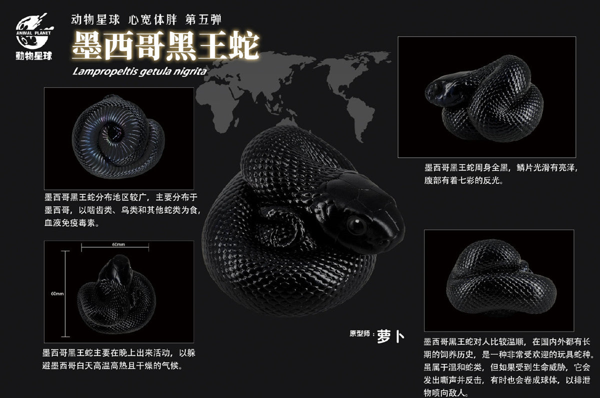 Animal Planet A Series of Laugh and Grow Fat 05 Snake