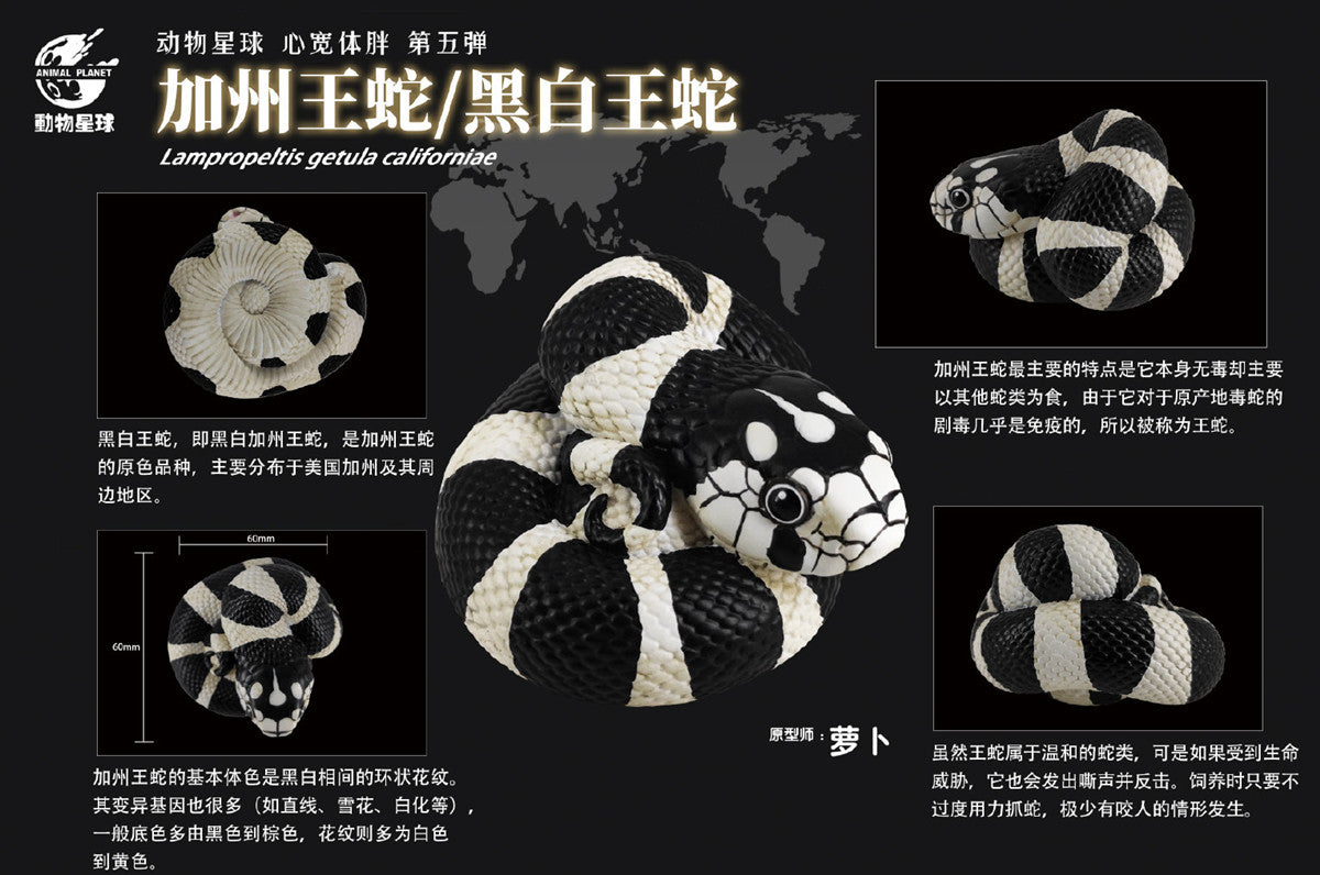 Animal Planet A Series of Laugh and Grow Fat 05 Snake