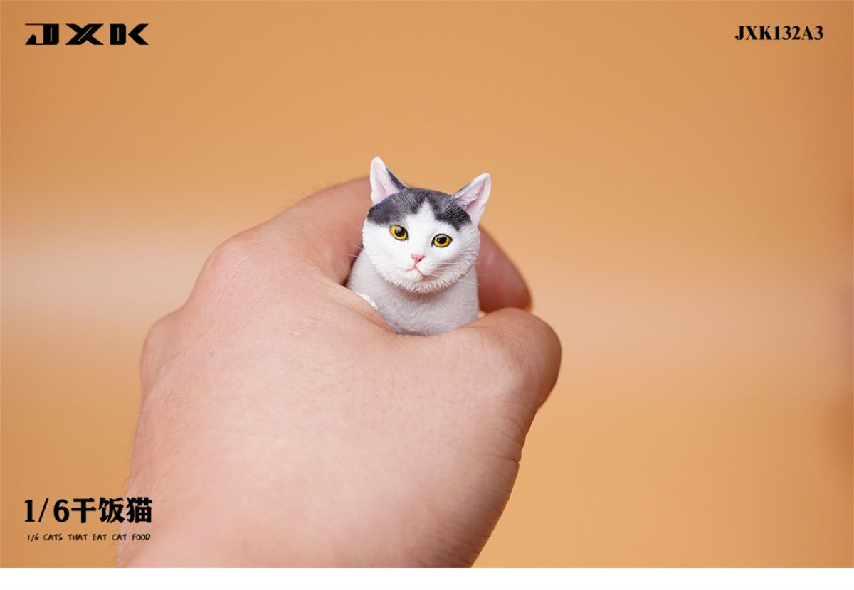 JXK 1/6 Cats That Eat Cat Food Model
