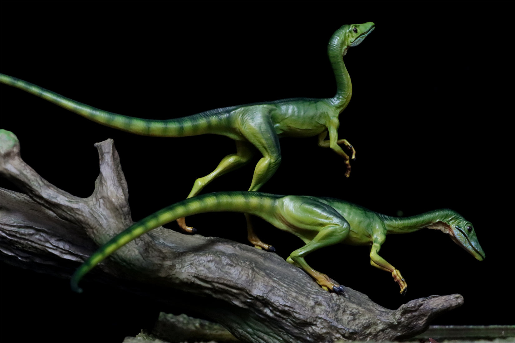 DINO DREAM 1/5 Scale Compsognathus Statue
