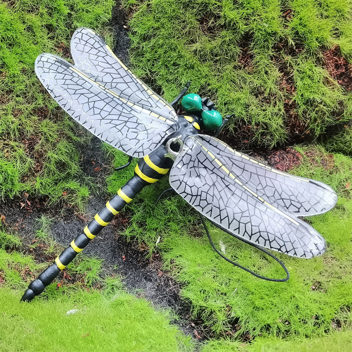 Anotogaster Dragonfly Model
