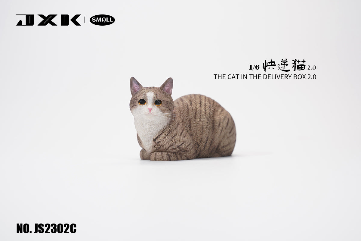 JXK Small The Cat In The Delivery Box 2.0 Model