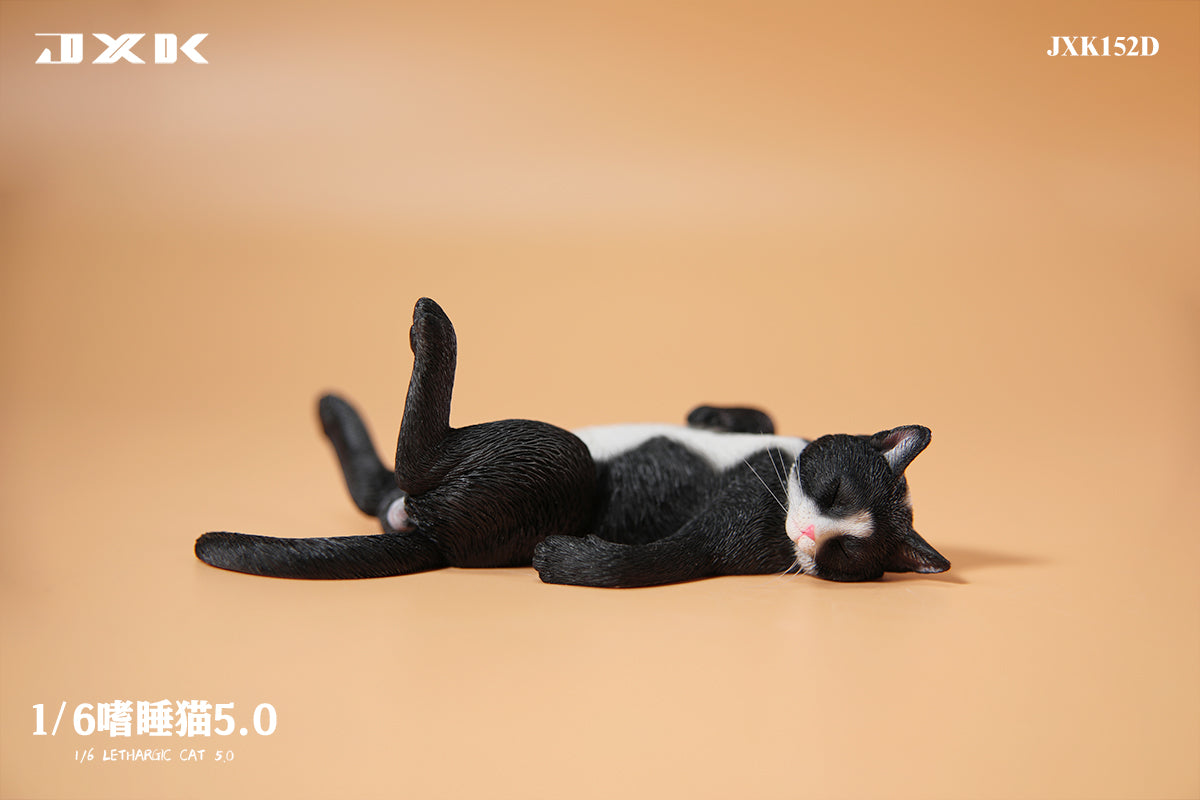 JXK 1/6 Lethargic Cat 5.0 Model