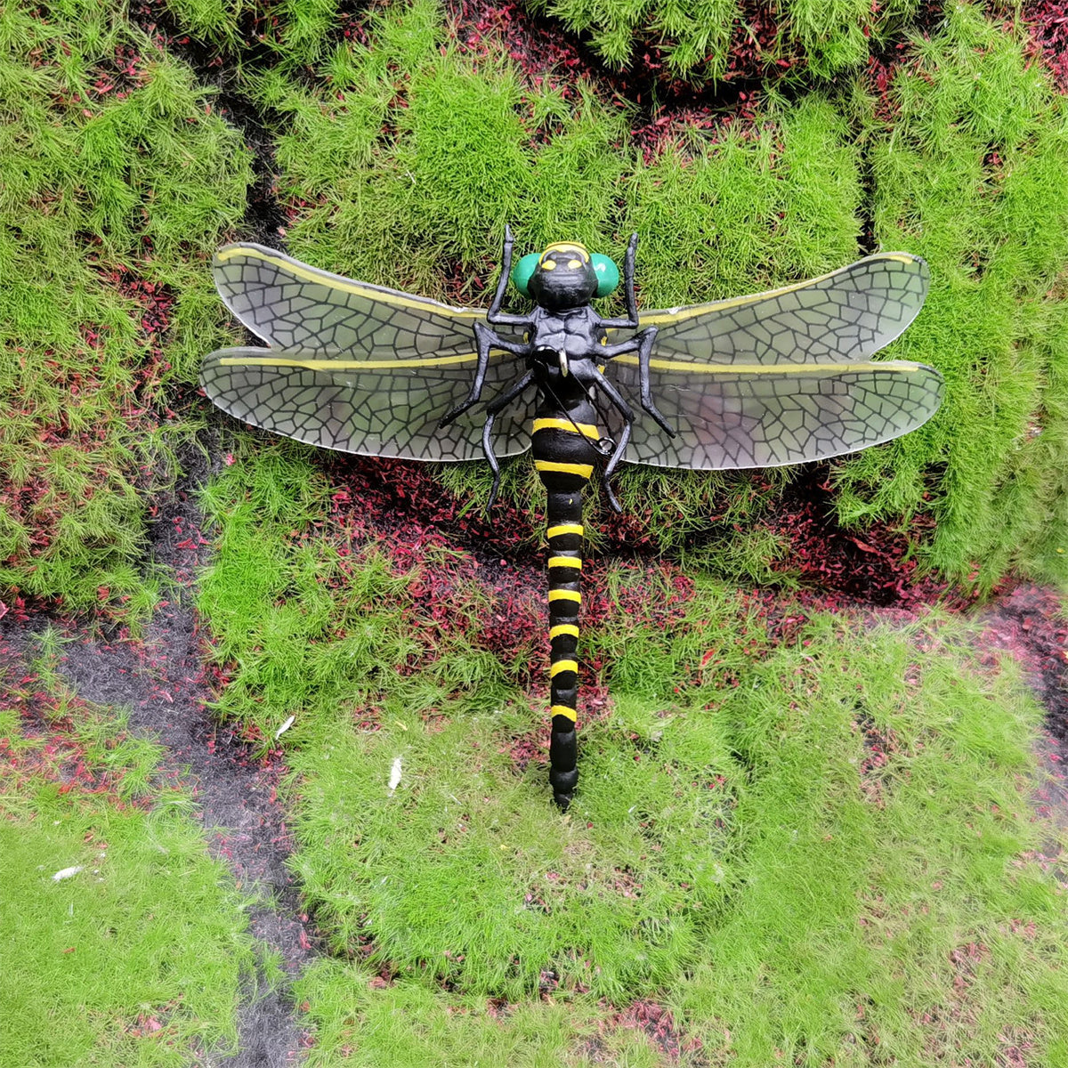 Anotogaster Dragonfly Model