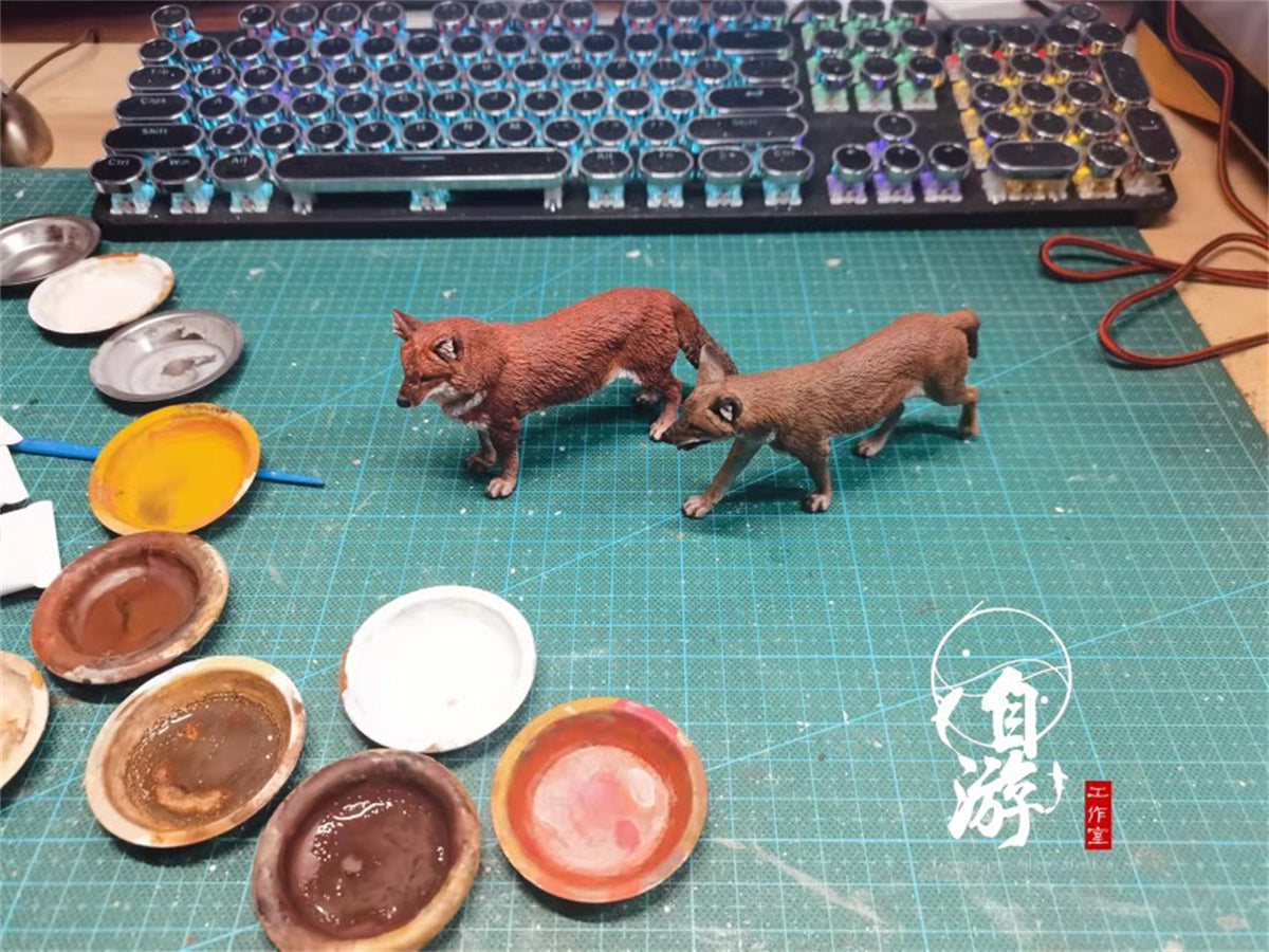 Chinese Dhole and Indian Dhole Model