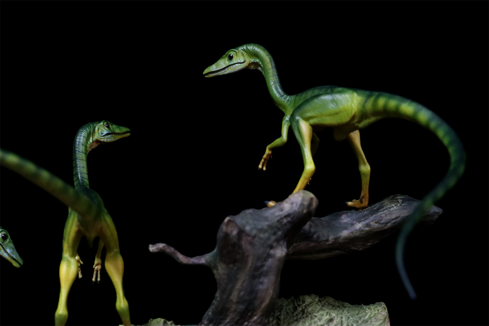 DINO DREAM 1/5 Scale Compsognathus Statue