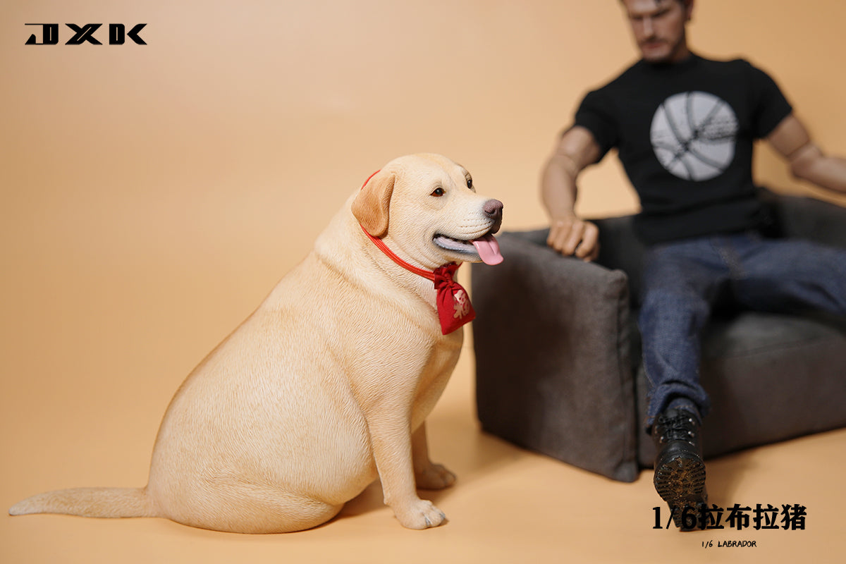 JXK 1/6 Labrador Model