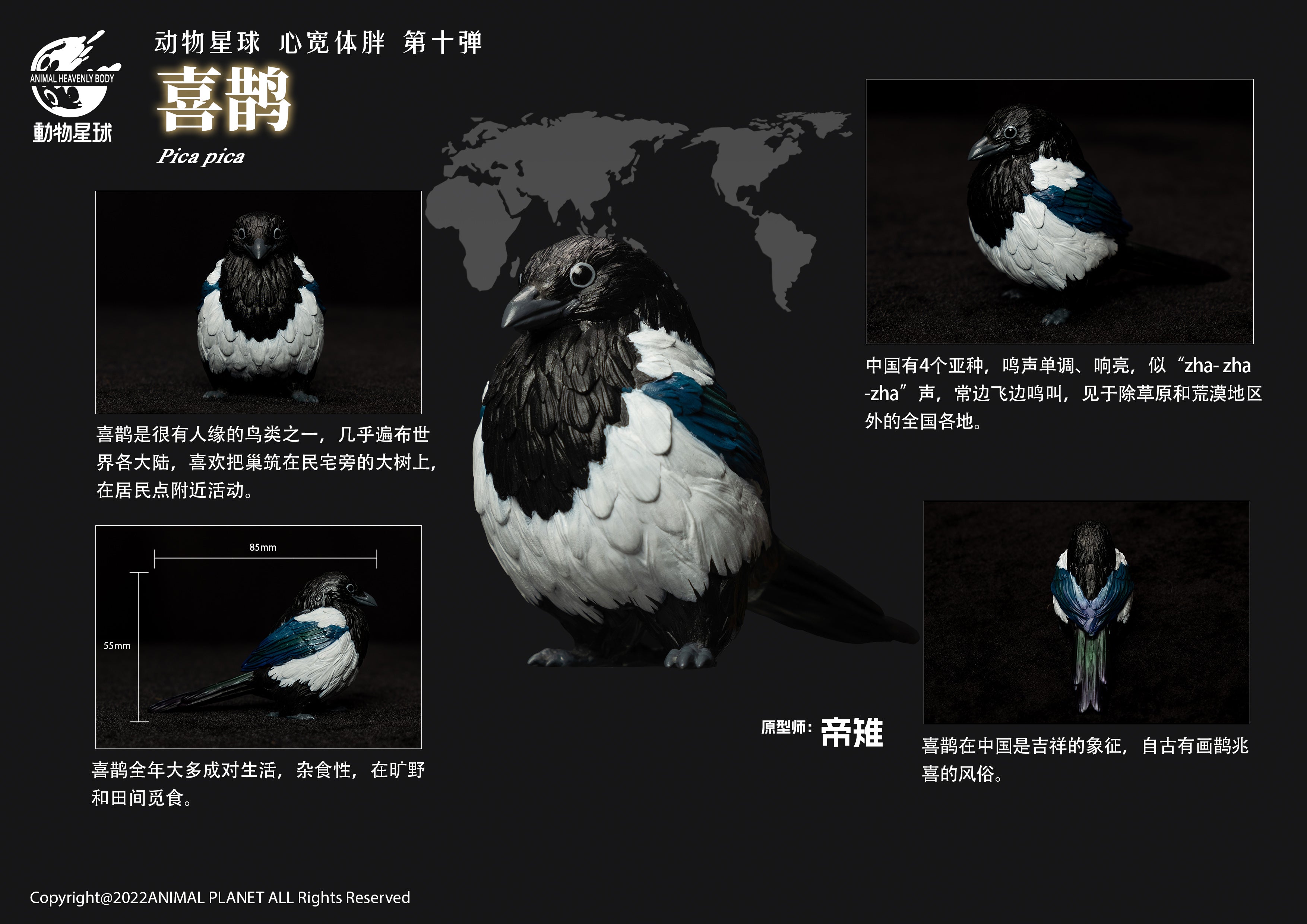Animal Planet 10 Birds Blind Box Model