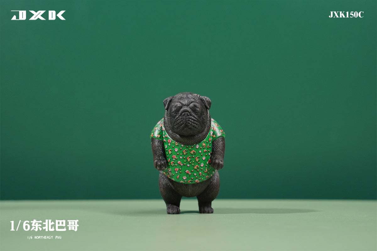JXK 1/6 Northeast Pug Model