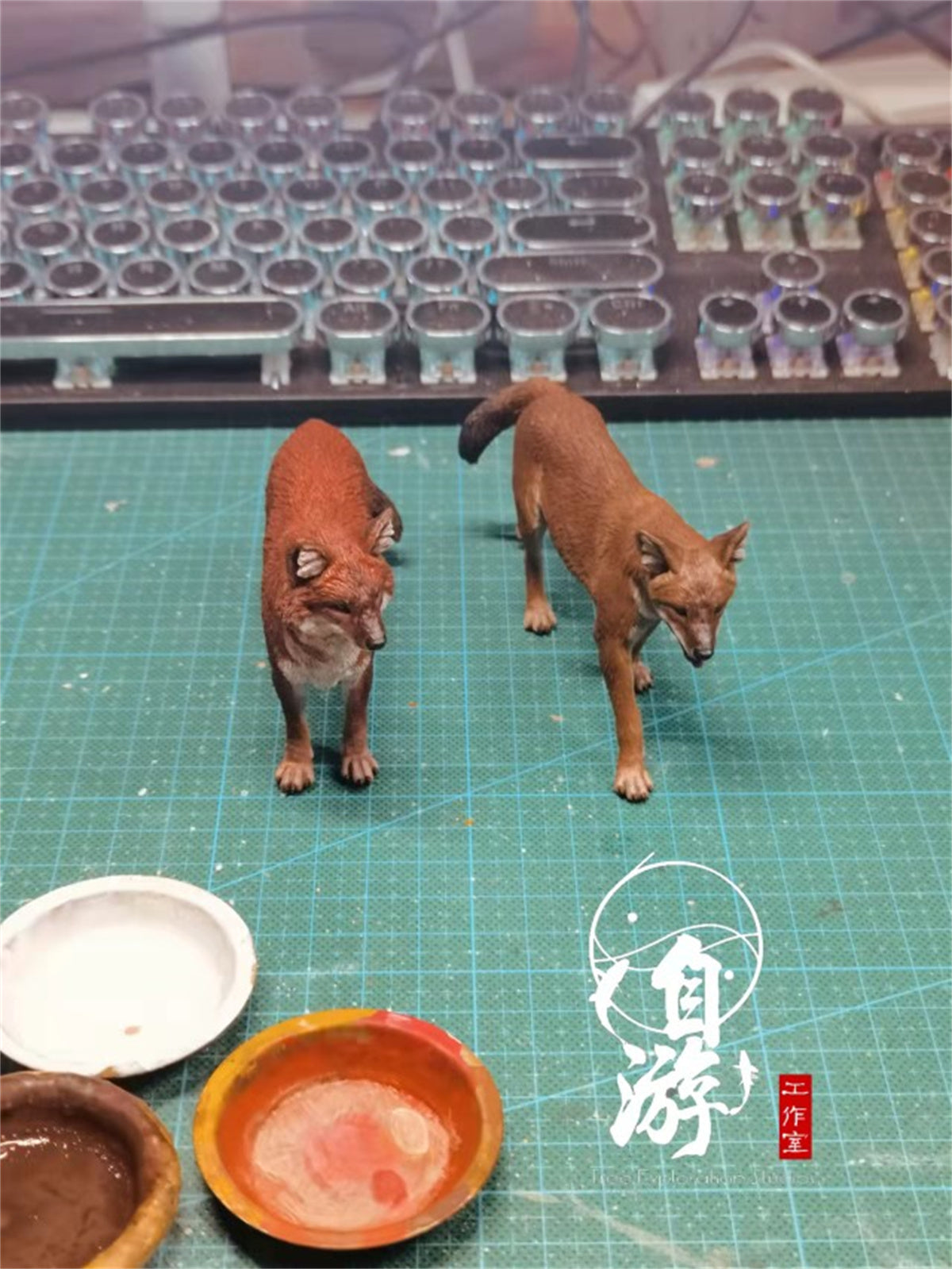 Chinese Dhole and Indian Dhole Model