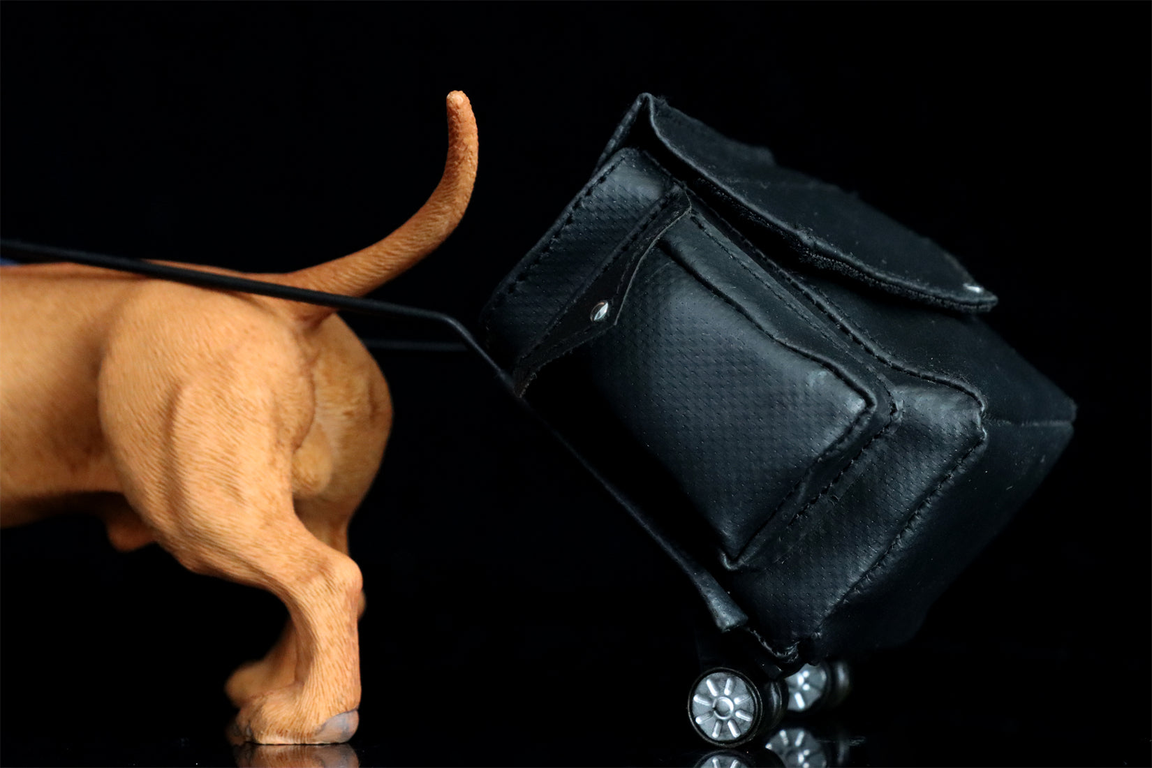 JXK 1/6 Dachshund Model