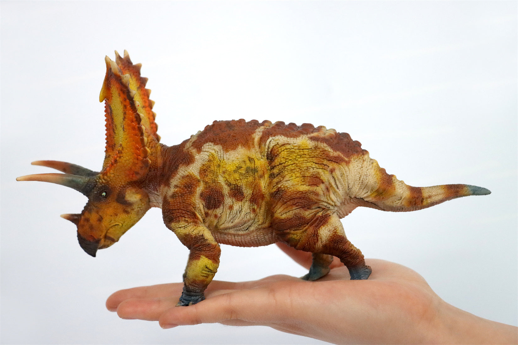 HAOLONGGOOD 1:35 Scale Pentaceratops Model