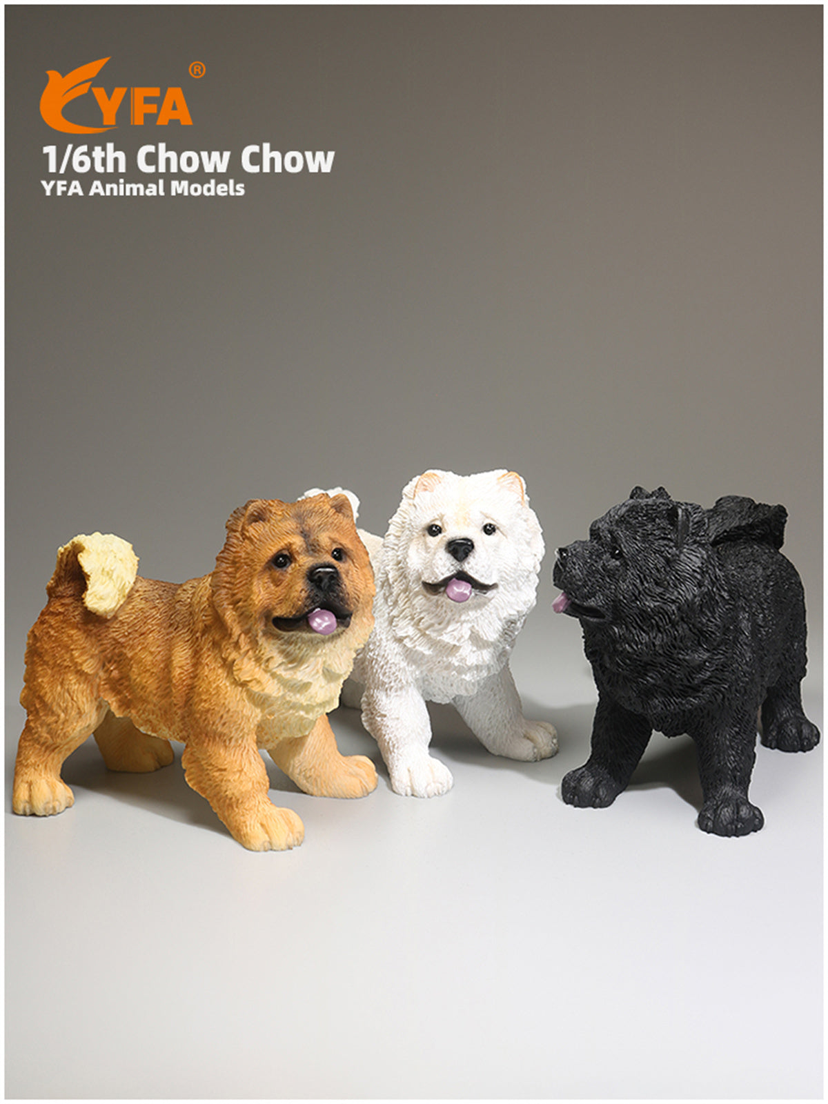 JJM 1/6 Chow Chow Dog Model