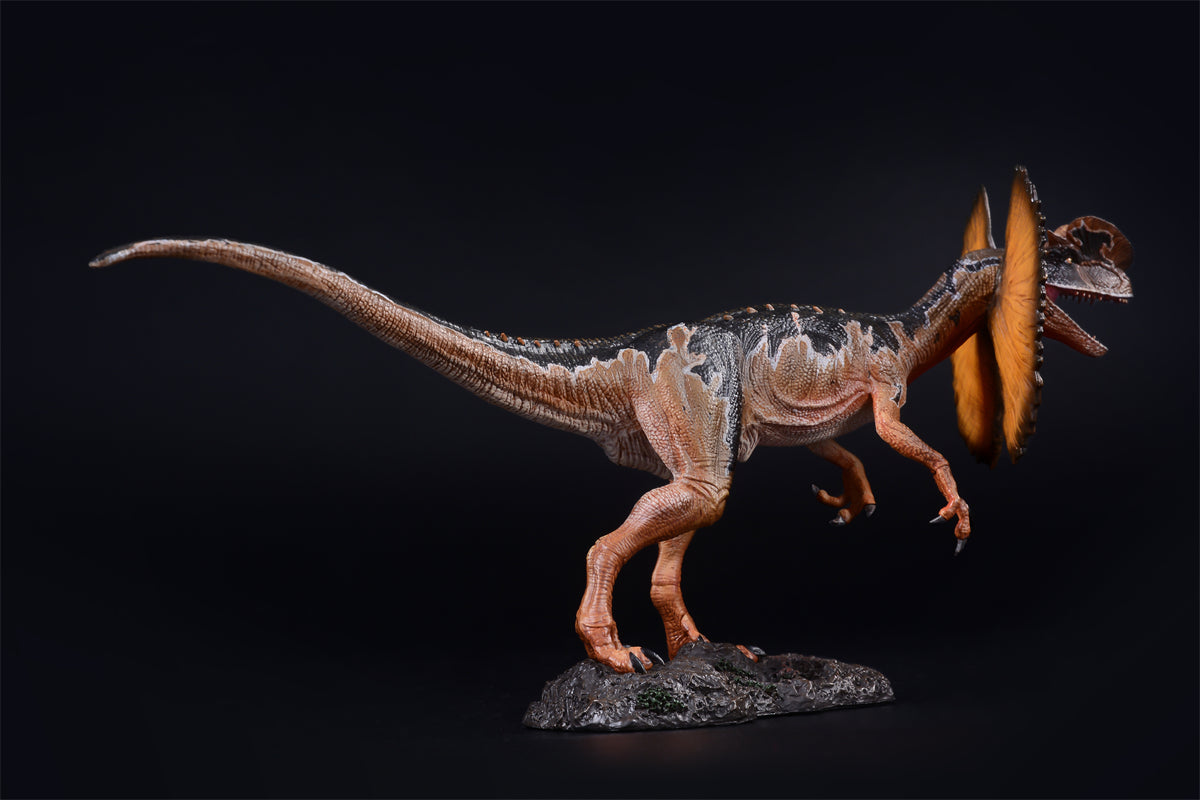 ITOY Resurrection Dilophosaurus Sinensis Model