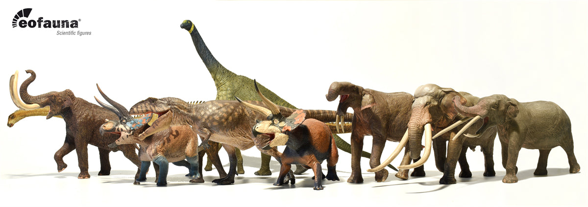 Eofauna 1:35 Scale Konobelodon Figure