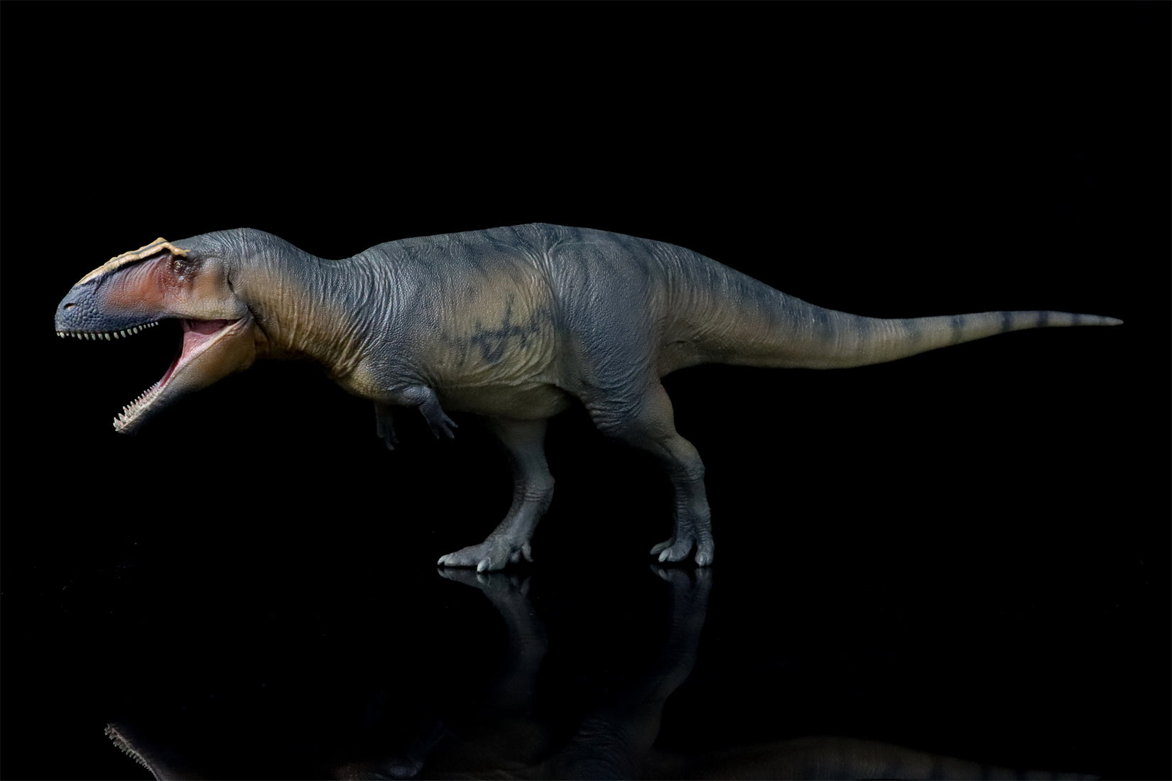 PNSO 17 Lucas Giganotosaurus 1:35 Scale Scietific Art Model