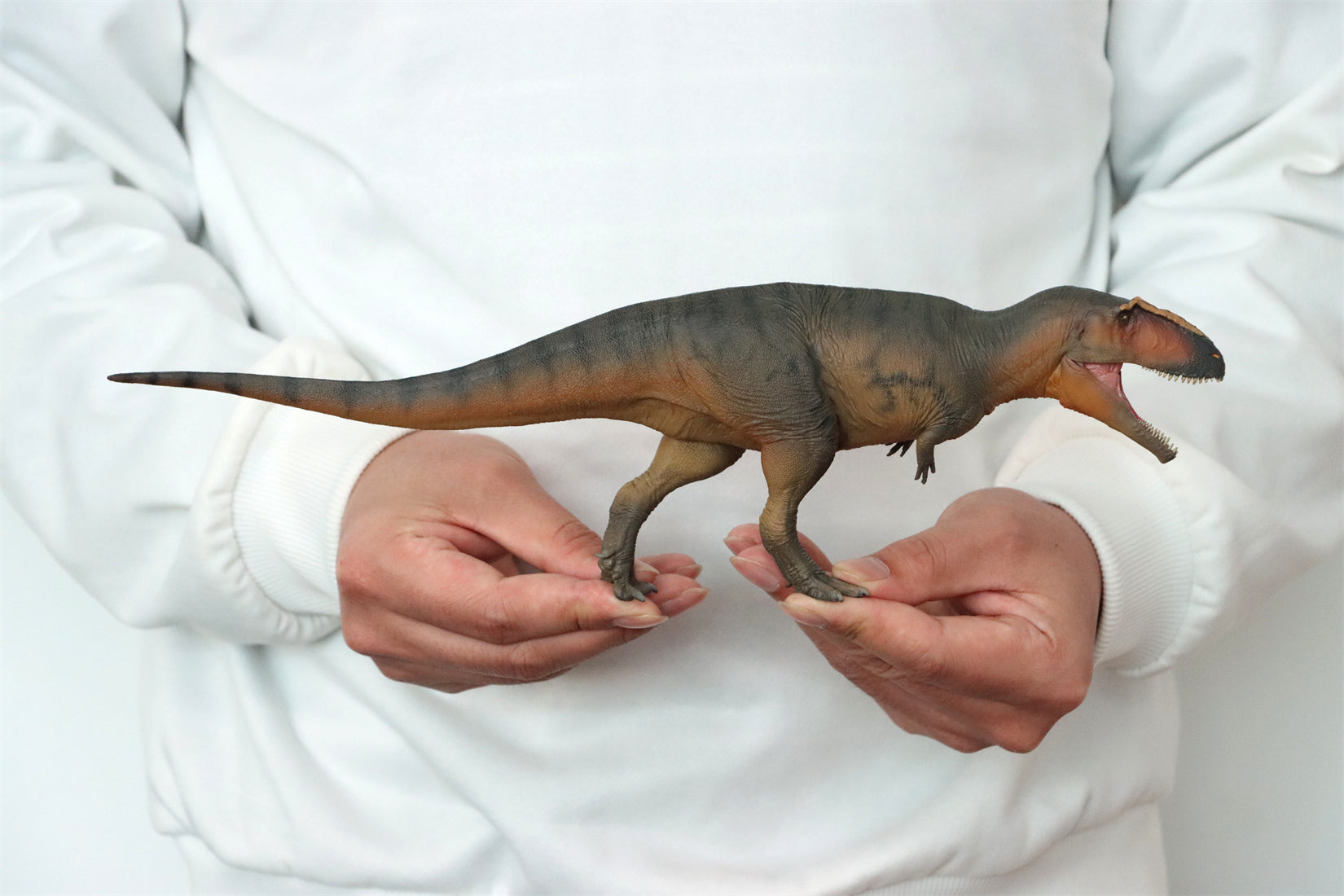 PNSO 17 Lucas Giganotosaurus 1:35 Scale Scietific Art Model