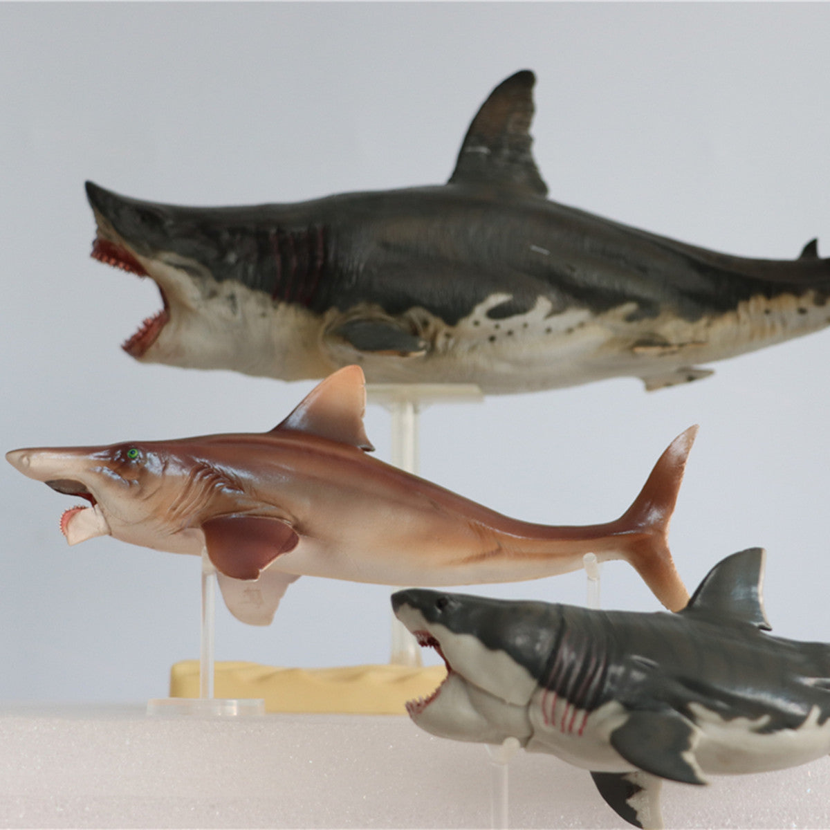 PNSO Megalodon VS Helicoprion Model