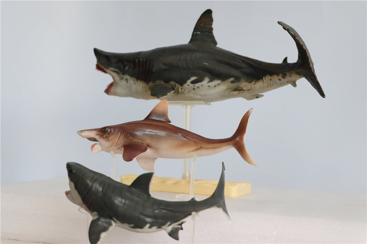PNSO Megalodon VS Helicoprion Model