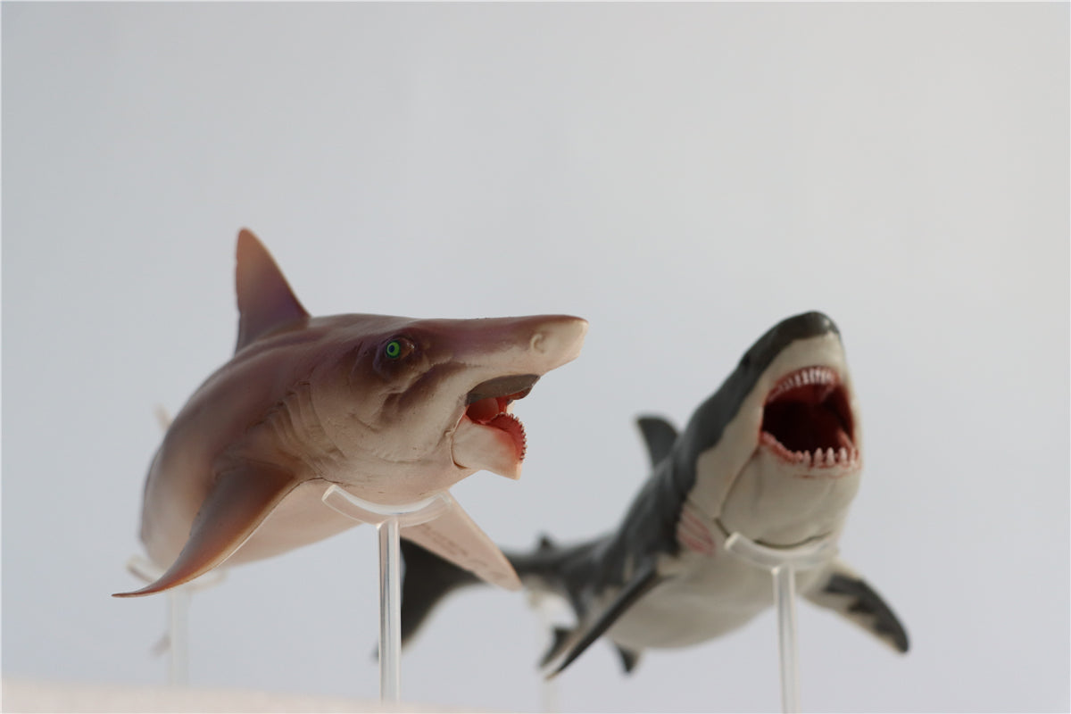 PNSO Megalodon VS Helicoprion Model