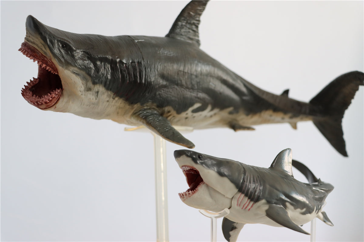 PNSO Megalodon VS Helicoprion Model