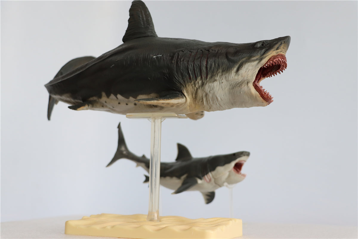 PNSO Megalodon VS Helicoprion Model