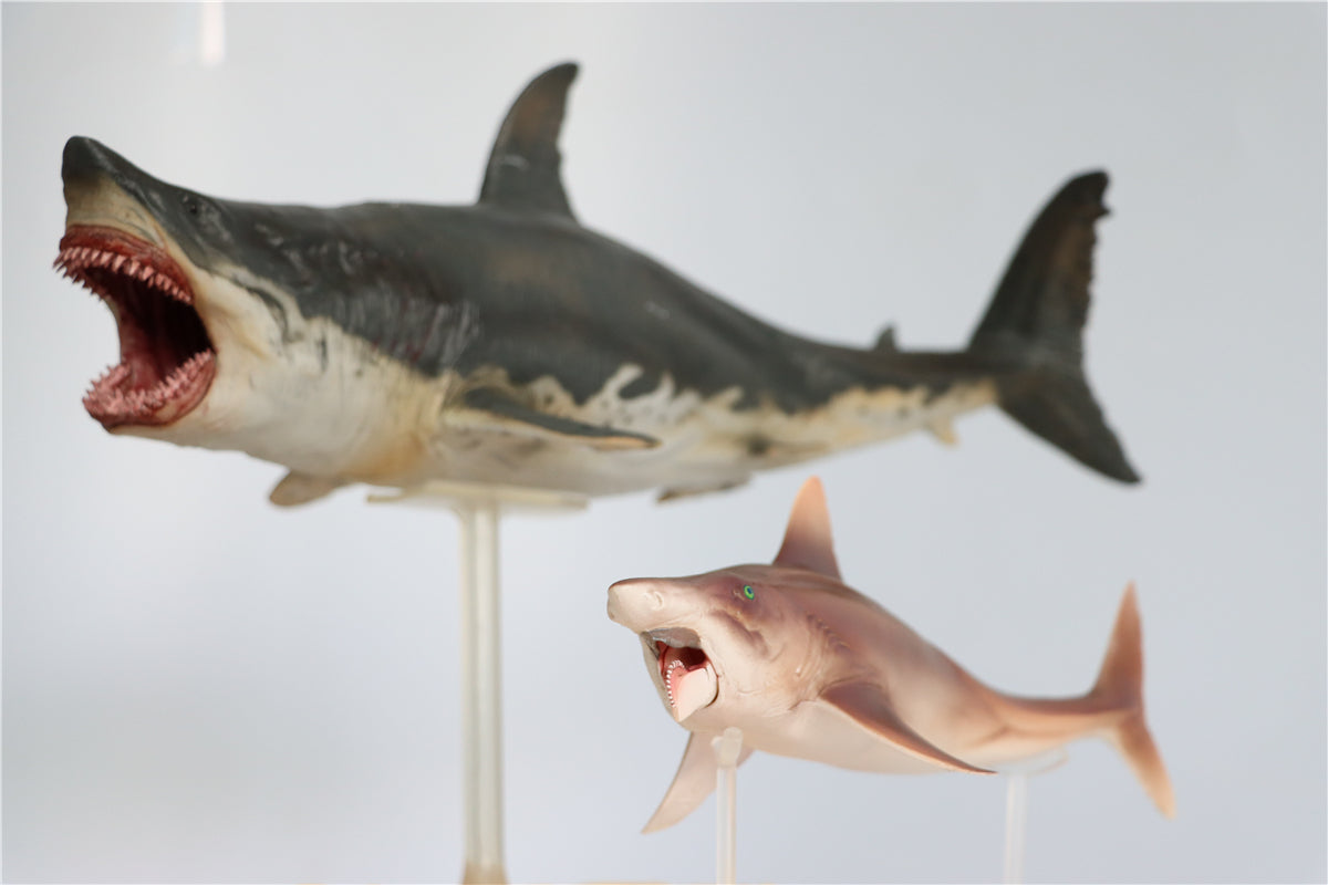 PNSO Megalodon VS Helicoprion Model