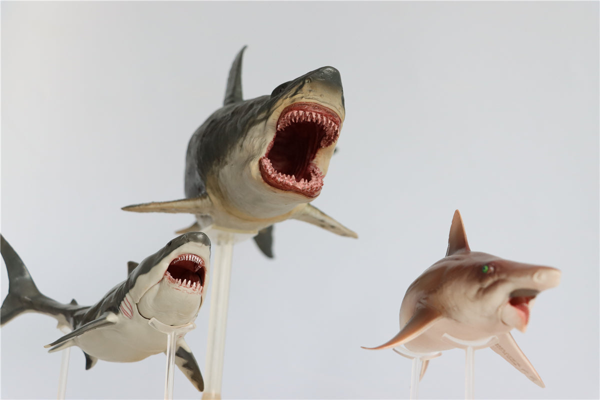 PNSO Megalodon VS Helicoprion Model