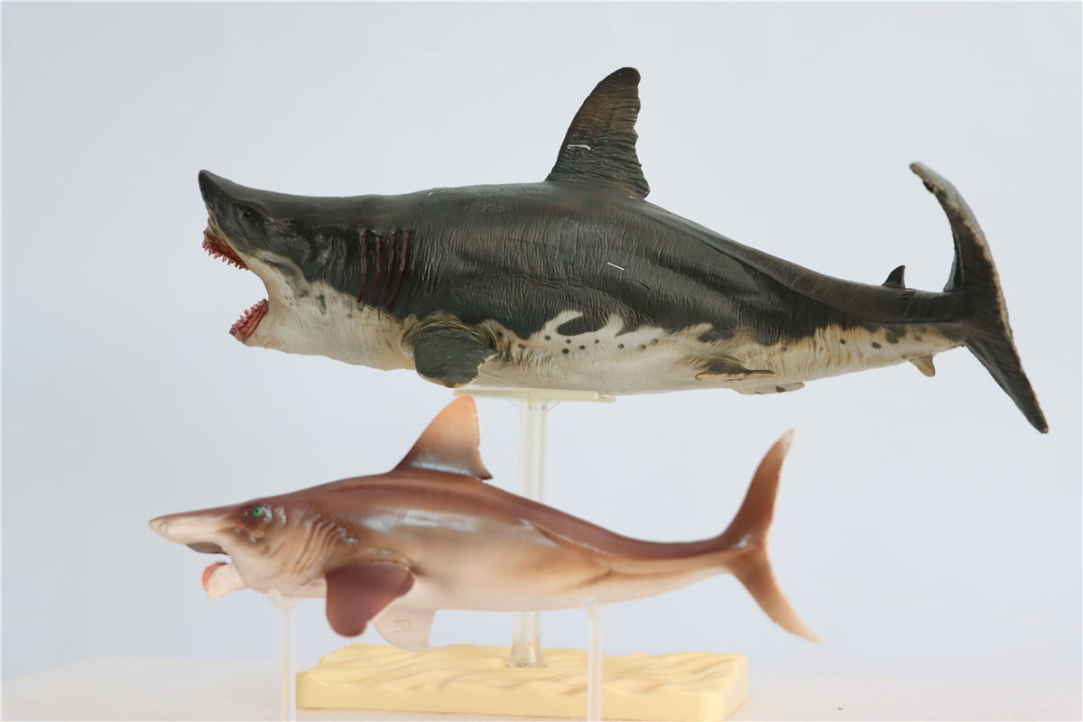 PNSO Megalodon VS Helicoprion Model