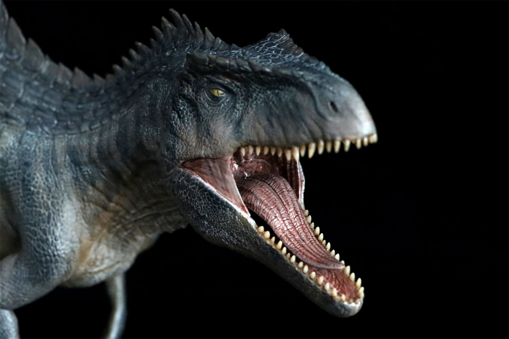 Nanmu Giganotosaurus 2.0 The King of the Border Figure