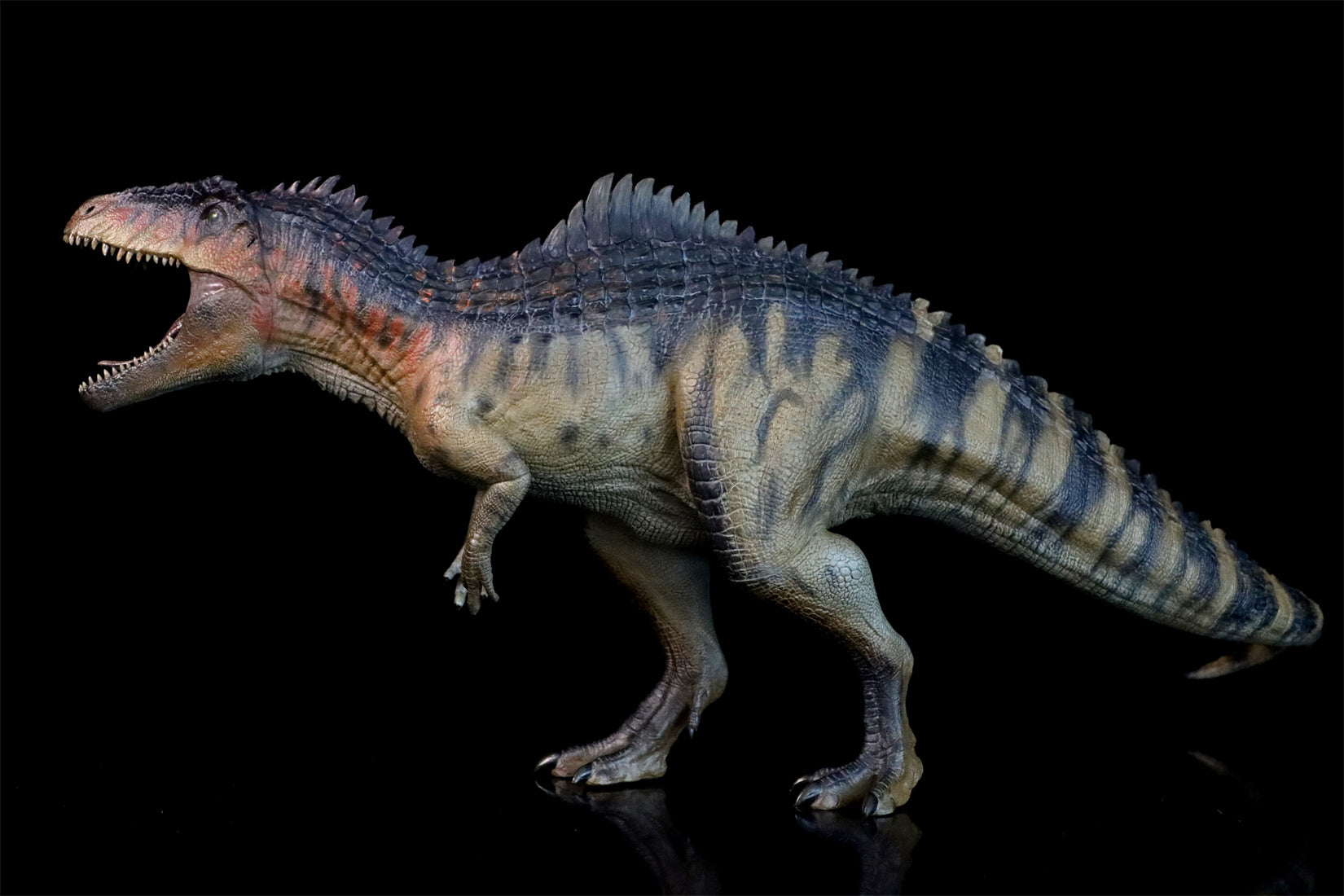 Nanmu Giganotosaurus 2.0 The King of the Border Figure