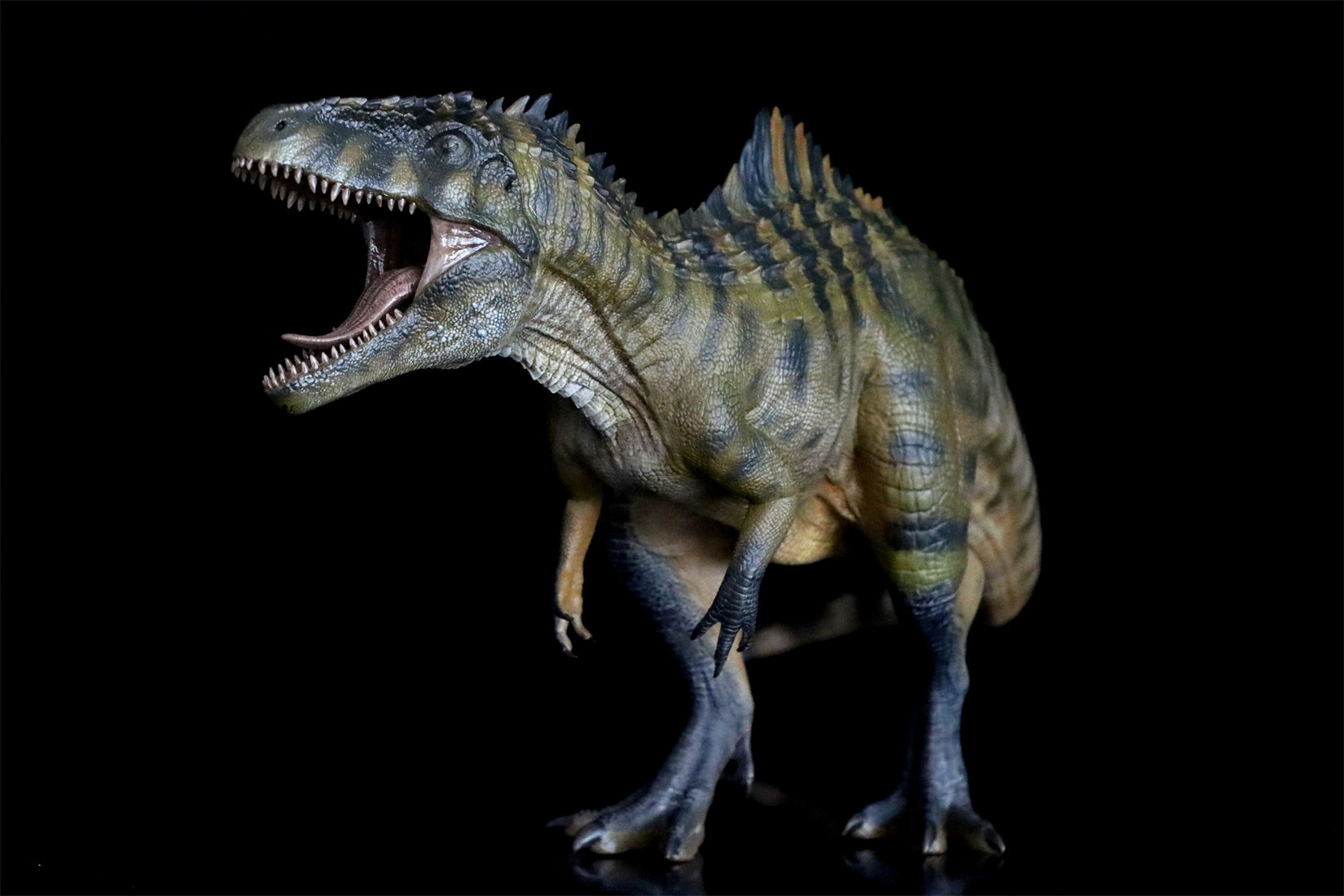 Nanmu Giganotosaurus 2.0 The King of the Border Figure