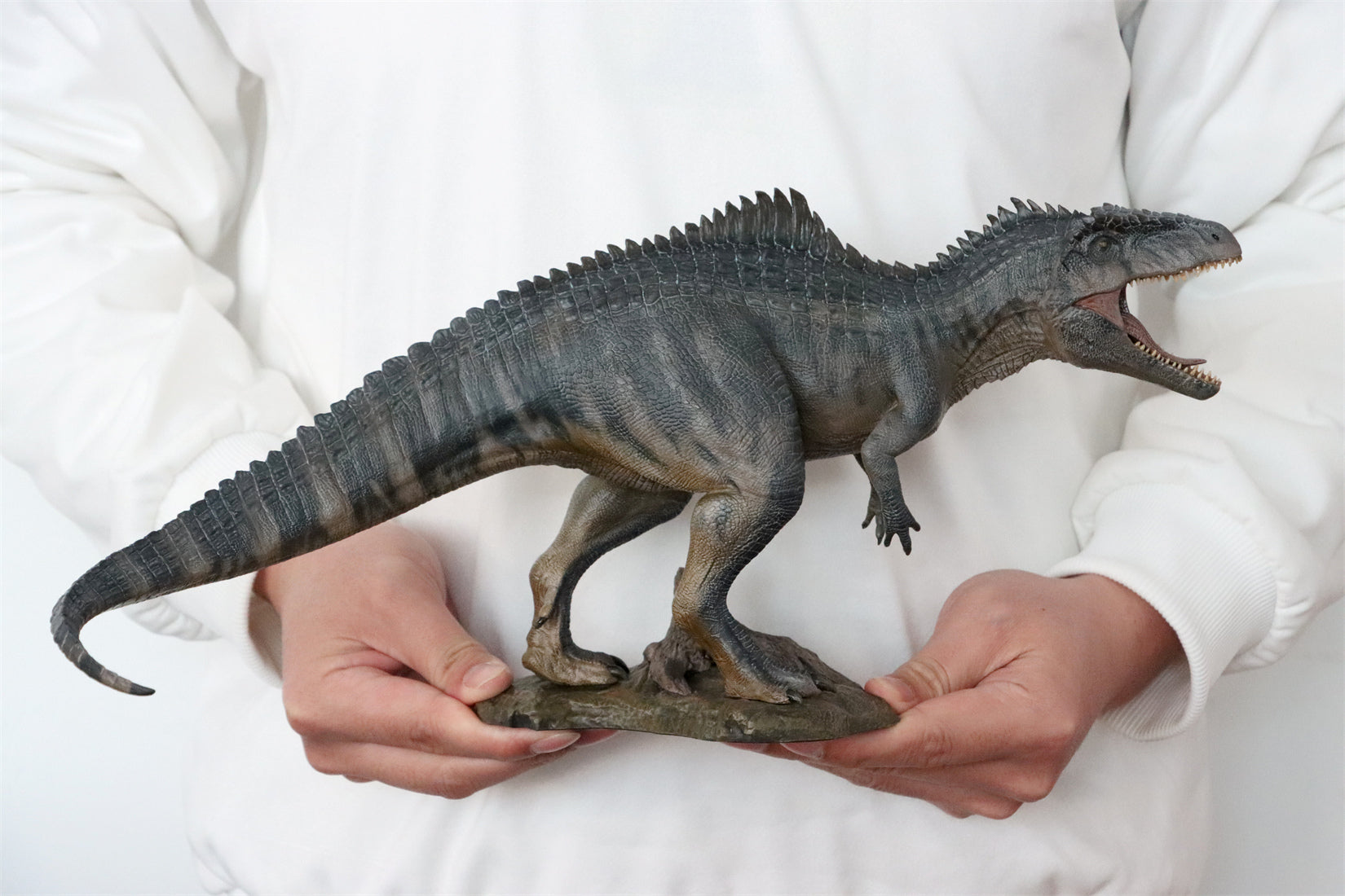 Nanmu Giganotosaurus 2.0 The King of the Border Figure