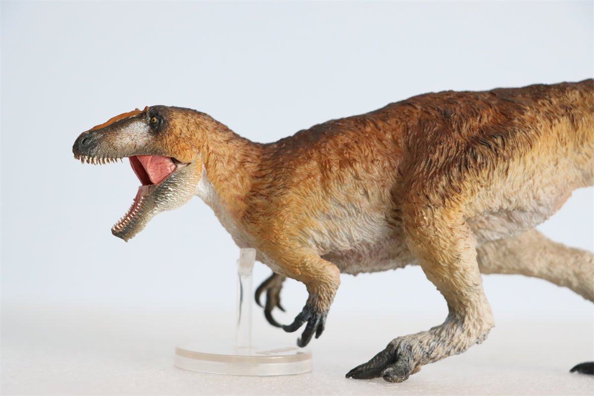 PNSO Yutyrannus Yinqi Model