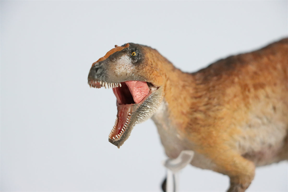 PNSO Yutyrannus Yinqi Model