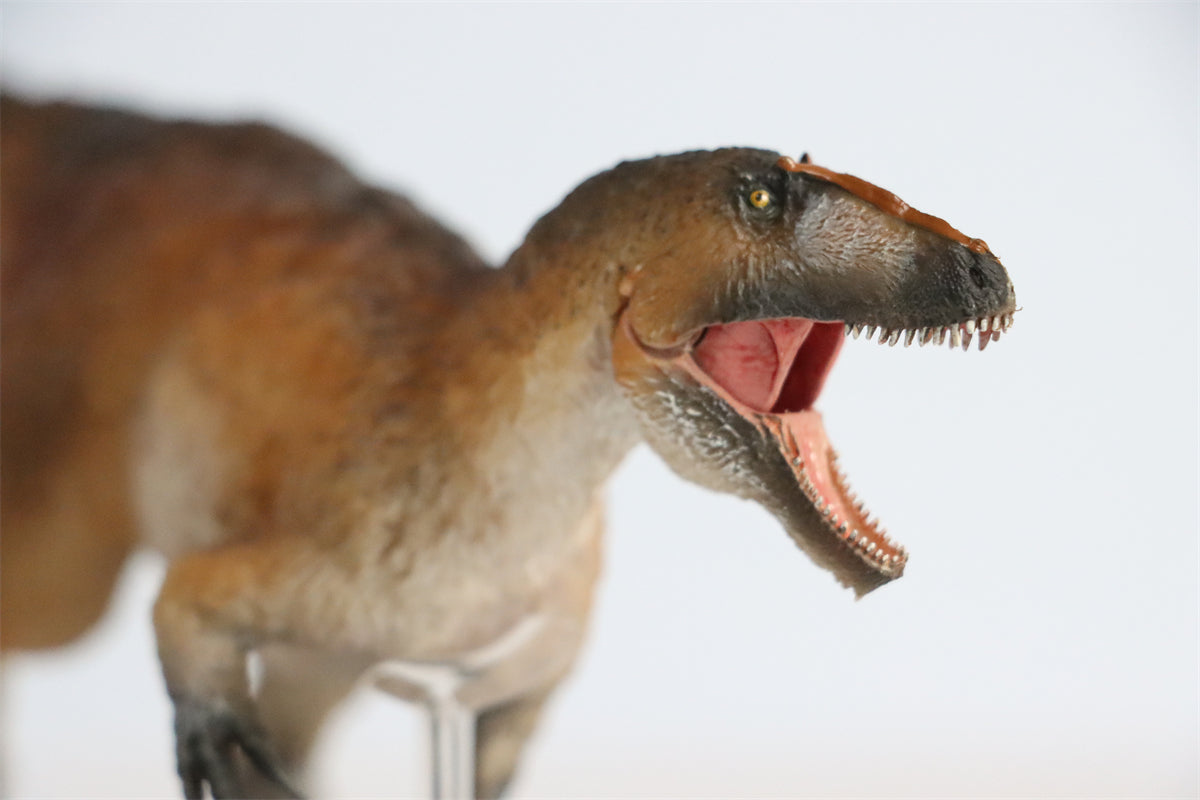 PNSO Yutyrannus Yinqi Model